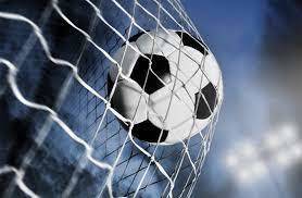 soccer net